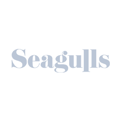 Seagulls_logo